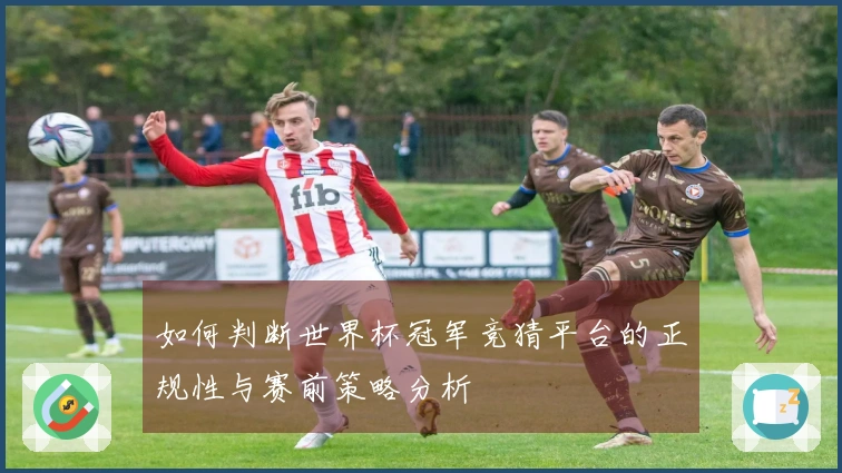 如何判断世界杯冠军竞猜平台的正规性与赛前策略分析