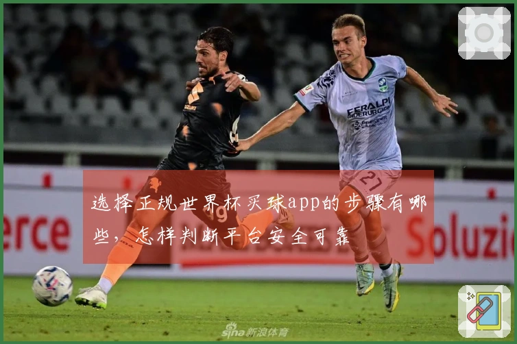 选择正规世界杯买球app的步骤有哪些，怎样判断平台安全可靠